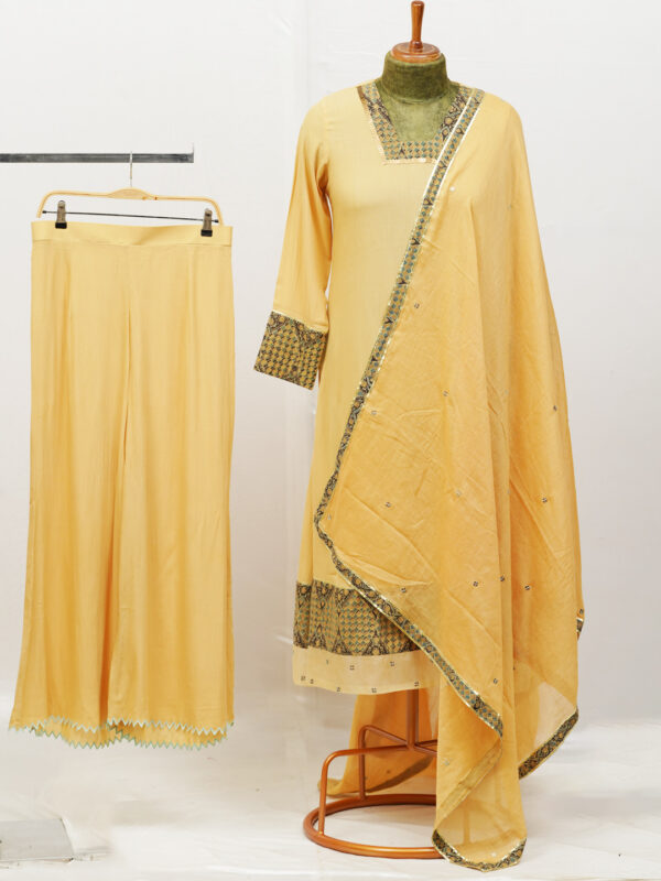 Salwar Set - Party wear