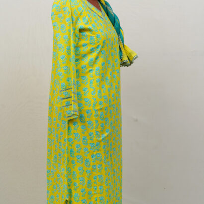 Salwar Set - Party wear