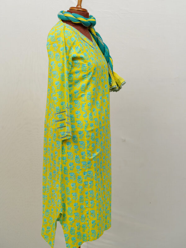 Salwar Set - Party wear